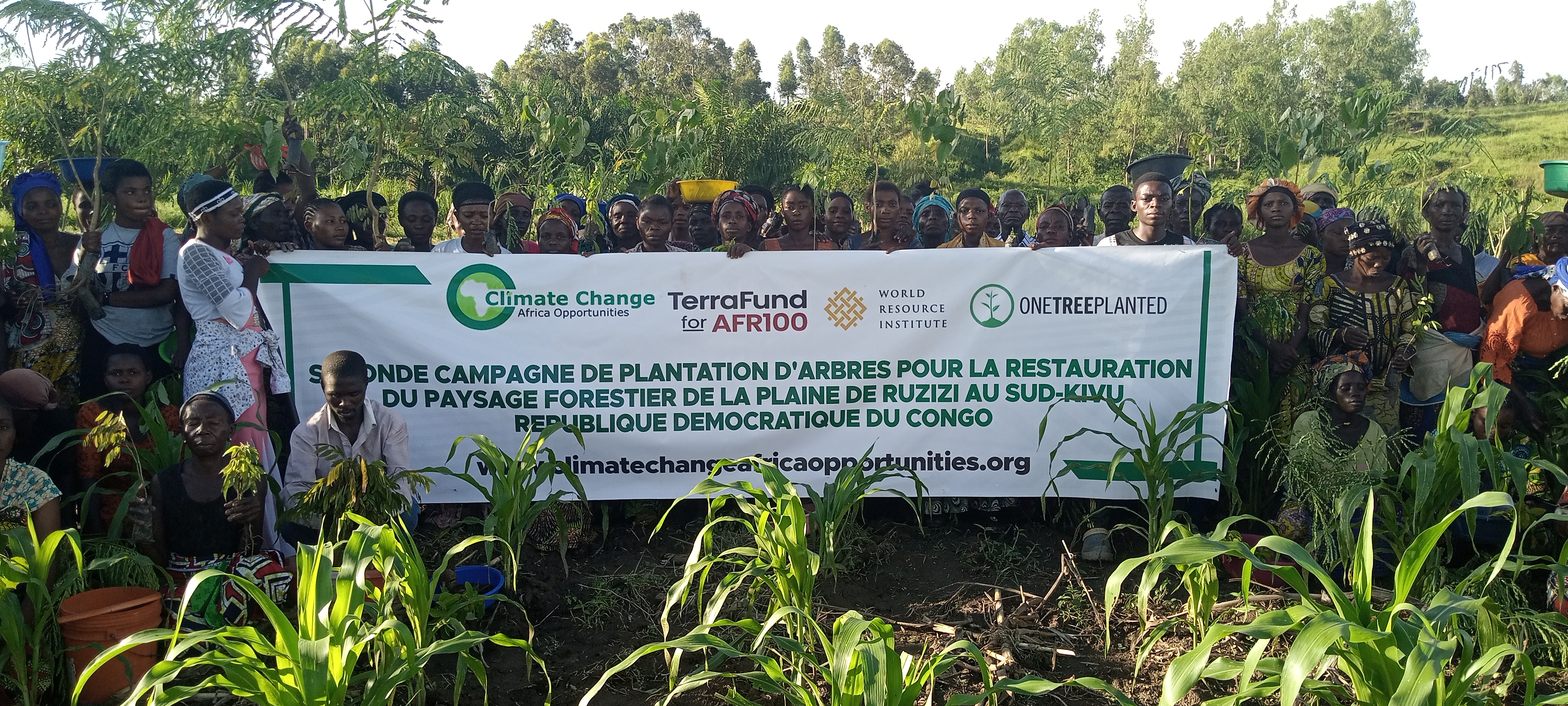 CCAO restaure 116,96 hectares dans la plaine de la Ruzizi : 52 209 arbres plantés au Sud-Kivu      